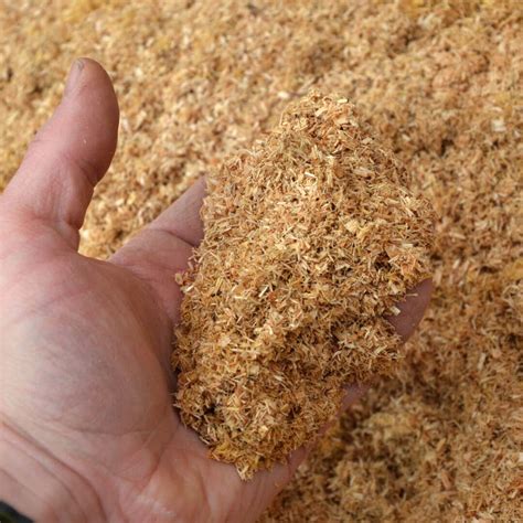 Sawdust 